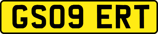 GS09ERT