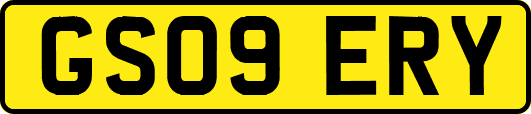 GS09ERY