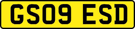 GS09ESD