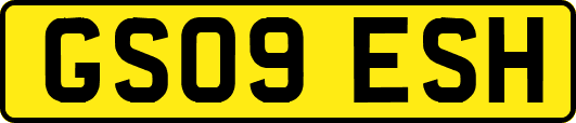 GS09ESH