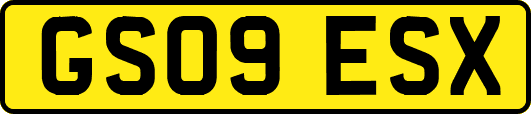 GS09ESX