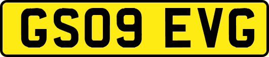 GS09EVG