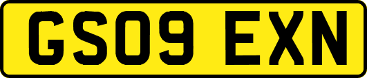 GS09EXN