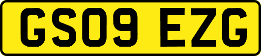 GS09EZG