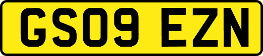 GS09EZN