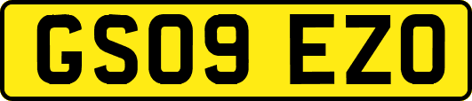 GS09EZO