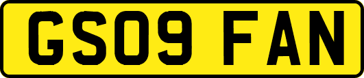 GS09FAN