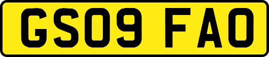 GS09FAO