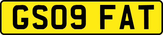 GS09FAT