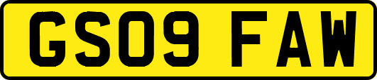 GS09FAW