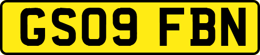 GS09FBN