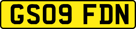 GS09FDN