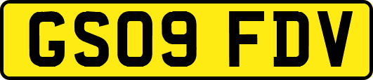 GS09FDV