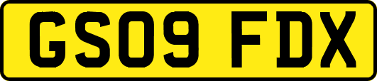 GS09FDX