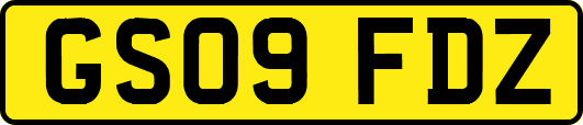 GS09FDZ