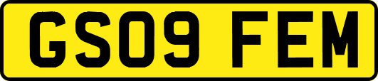 GS09FEM