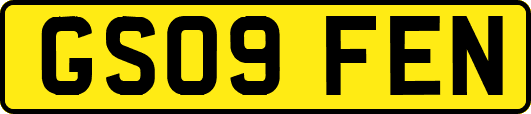 GS09FEN
