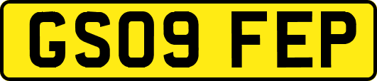 GS09FEP