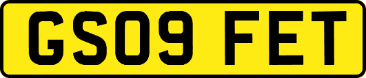 GS09FET