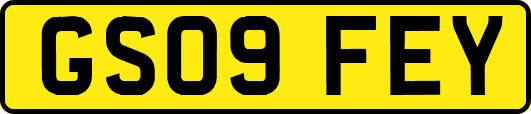 GS09FEY