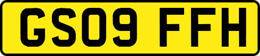 GS09FFH