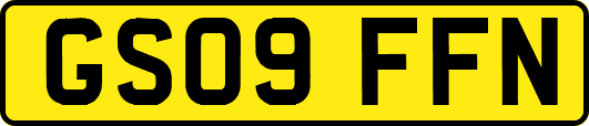 GS09FFN