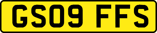 GS09FFS