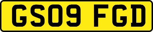 GS09FGD