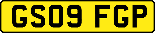 GS09FGP