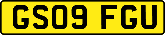 GS09FGU