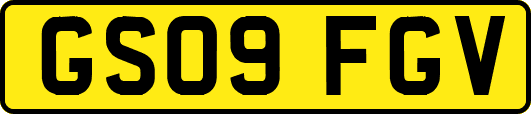 GS09FGV