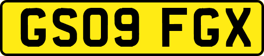 GS09FGX