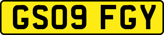 GS09FGY