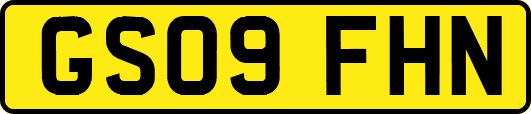 GS09FHN