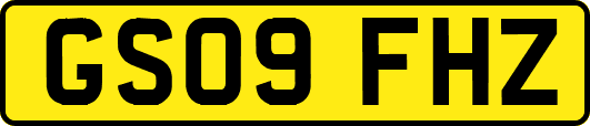 GS09FHZ