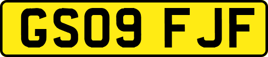 GS09FJF
