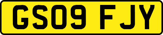 GS09FJY