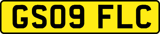 GS09FLC