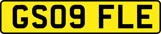 GS09FLE