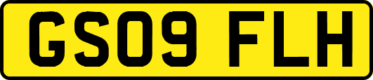 GS09FLH