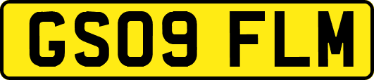 GS09FLM