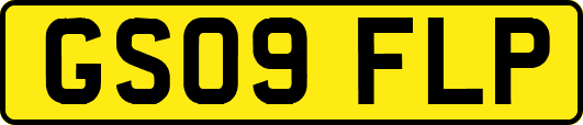 GS09FLP