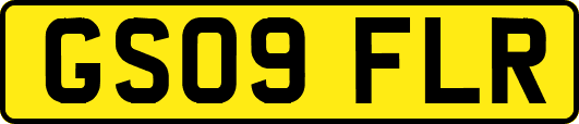 GS09FLR