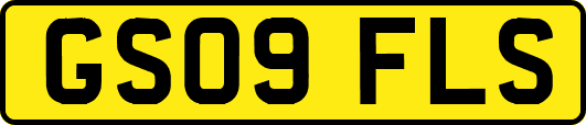 GS09FLS
