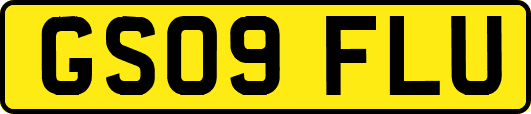 GS09FLU