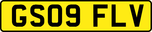 GS09FLV