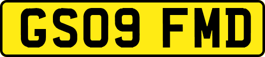 GS09FMD