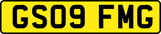 GS09FMG