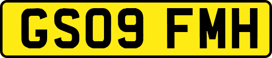 GS09FMH
