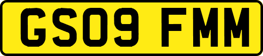 GS09FMM